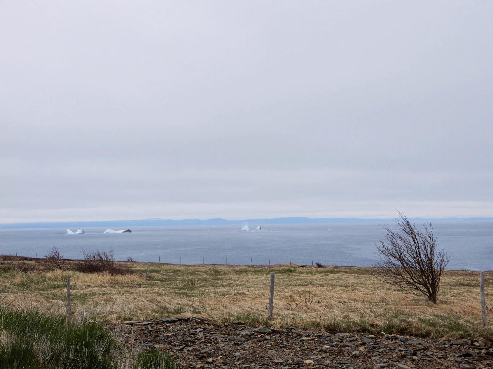 Northern Bay, Fabian Hogan - Jelly Bean Shore Vacation Rental View Northern Bay, Fabian Hogan - Jelly Bean Shore Vacation Rental View